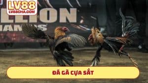 da-ga-cua-sat