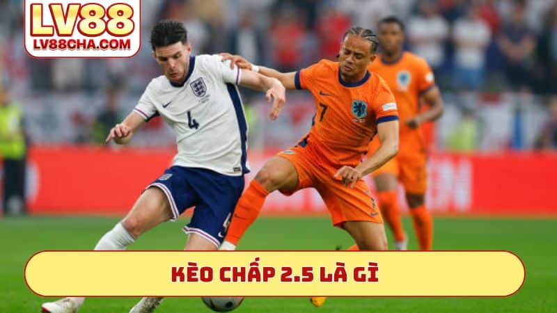 keo-chap-2.5-la-gi
